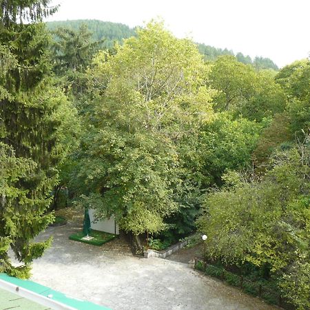 Family Park Hotel Kyoshkove Шумен Экстерьер фото